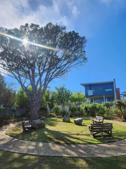 Apartment Haus Merwe Self Catering Cape Town